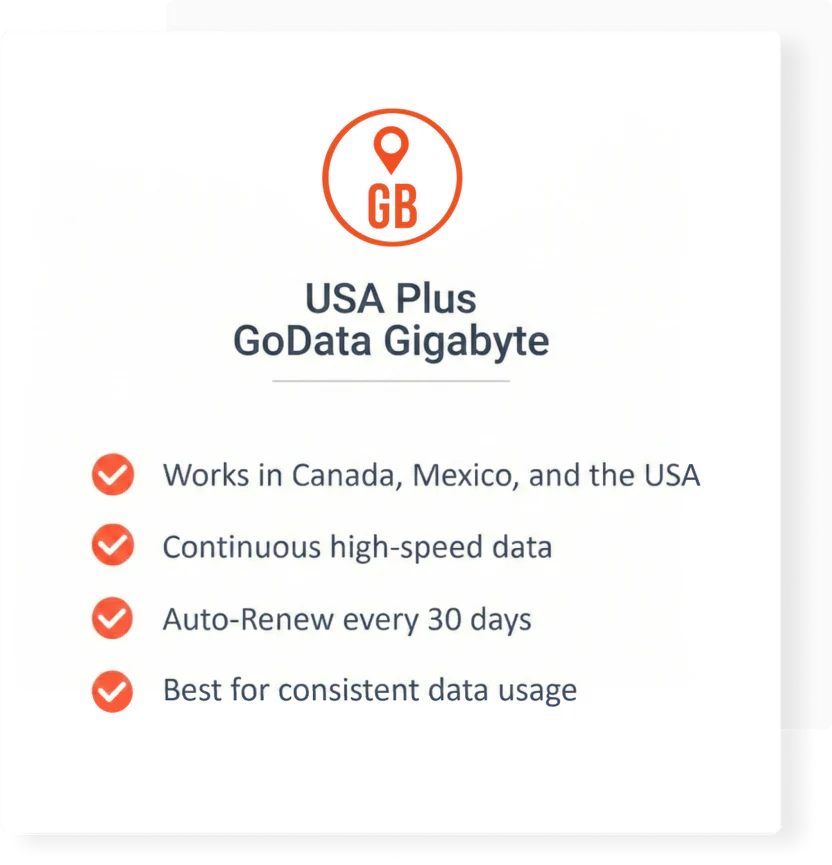USA Plus GoData Gigabyte